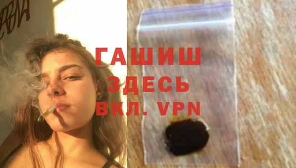 стаф Магас