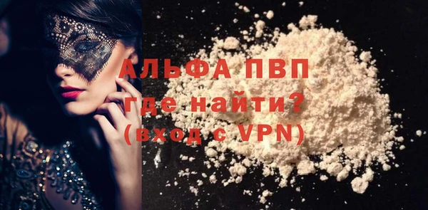 стаф Магас
