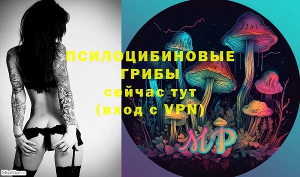 дживик Майский