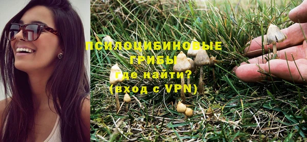стаф Магас