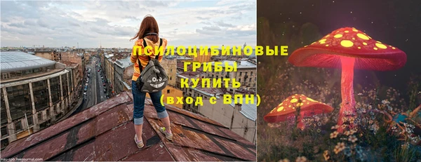 дживик Майский