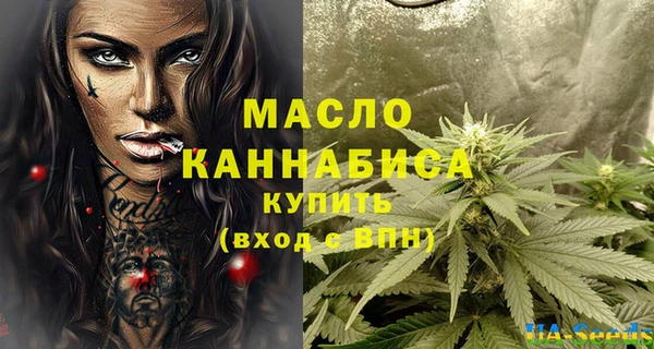 стаф Магас