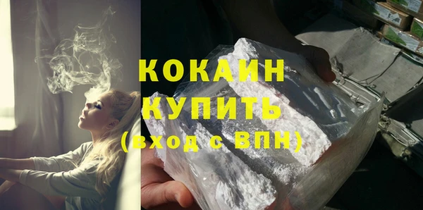 стаф Магас