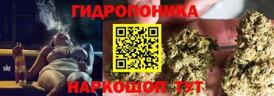 a pvp Кимры