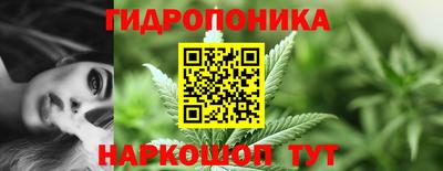 a pvp Кимры