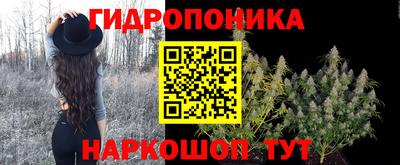 a pvp Кимры