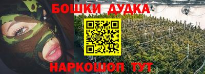 a pvp Кингисепп