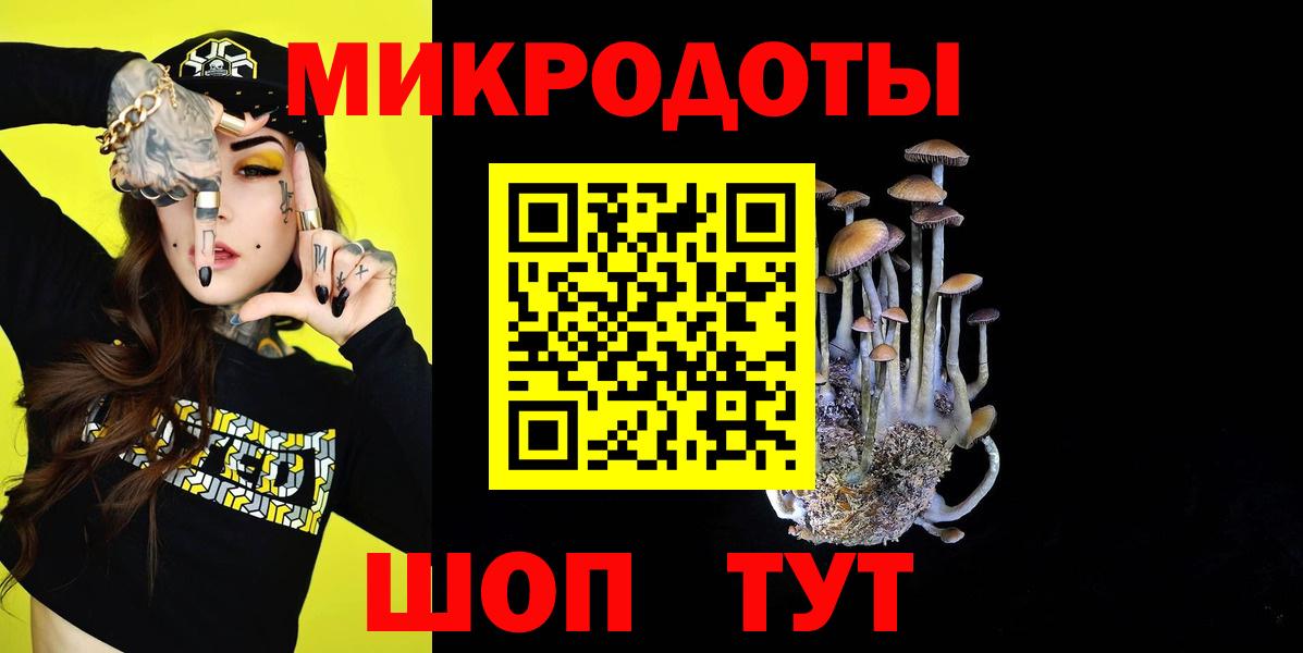 Псилоцибиновые грибы мицелий Самара